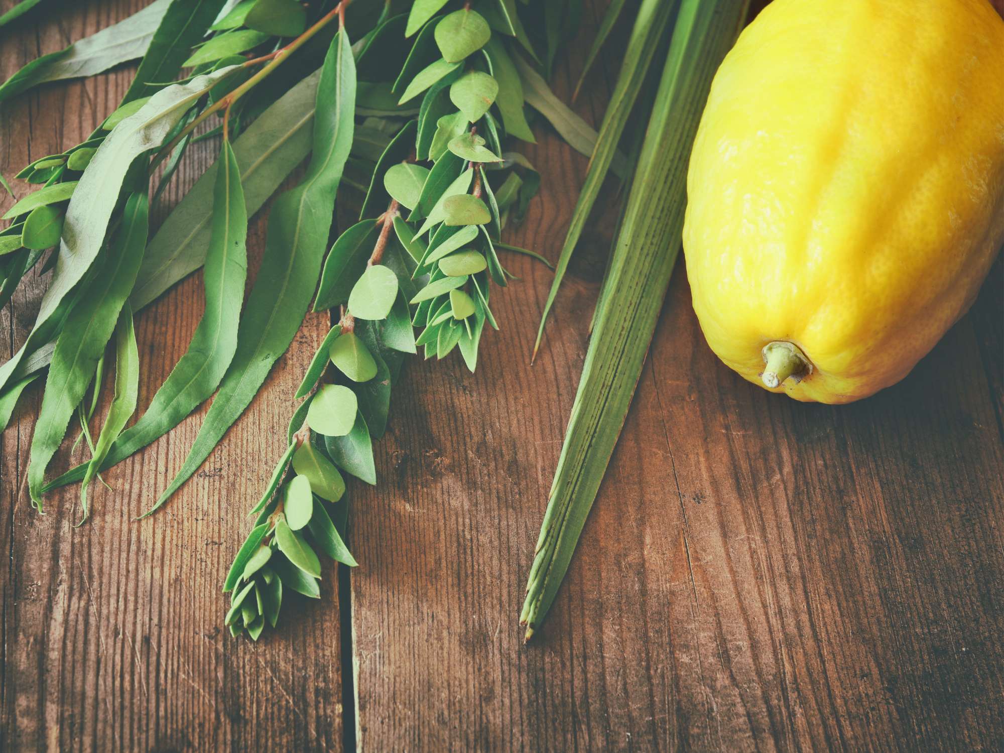 Sukkot: Celebrating Unity, Joy, and Gratitude in Jewish Tradition - Jewselry